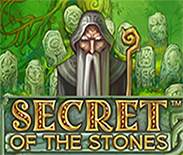 Secret of the Stones